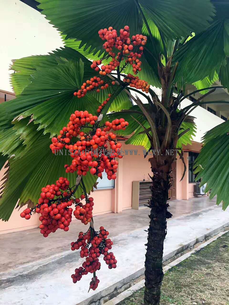 RKټ{ȶW(xu)