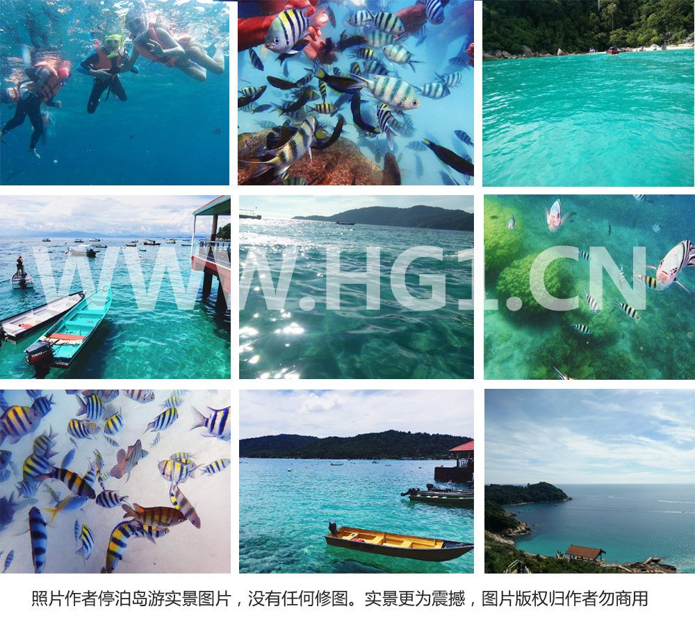 蘇丹再納阿比丁大學